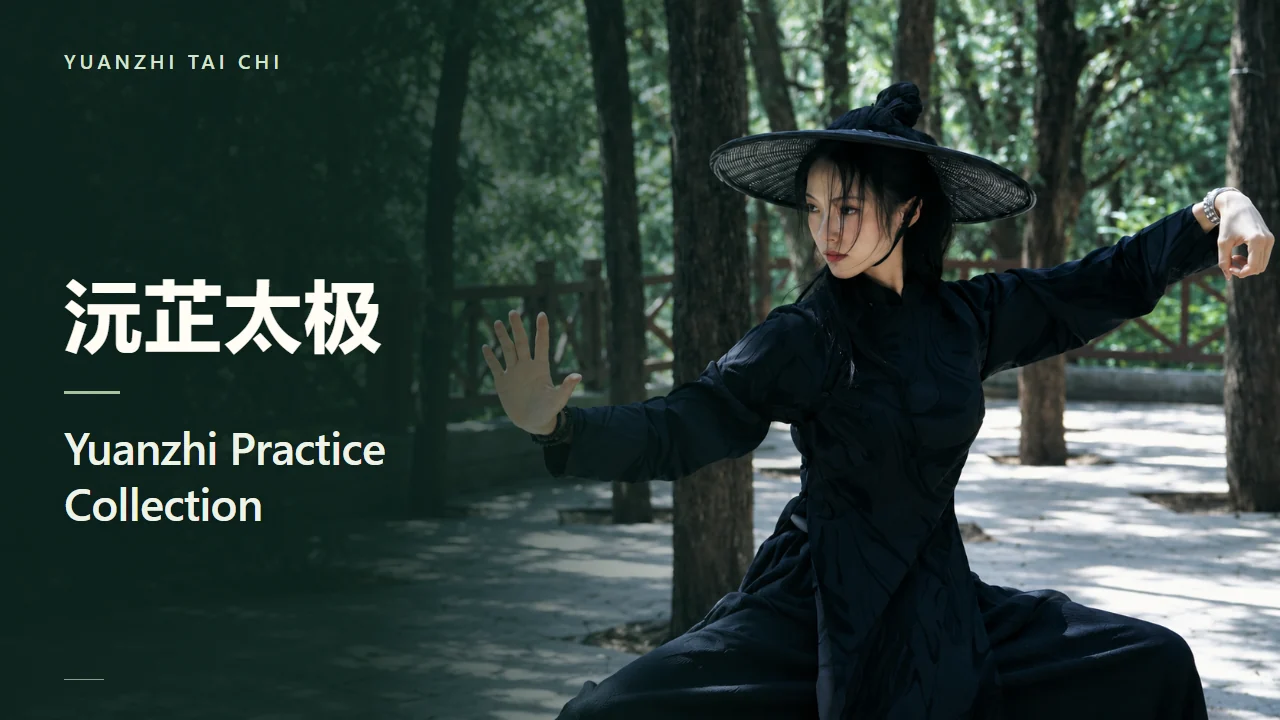 Yuanzhi Practice Collection course artwork